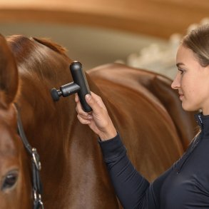 Wellness og terapi til hest og rytter