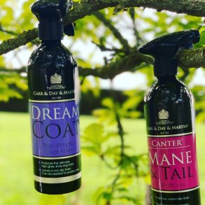 Carr & Day & Martin Pels, man & Hale