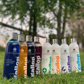 Carr & Day & Martin Shampoo & Showshine