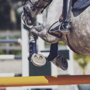 Eskadron Springgamacher