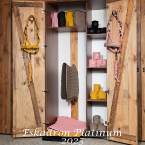 Eskadron Platinum 2025