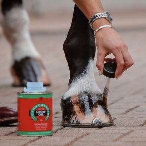 Carr & Day & Martin Hovolie