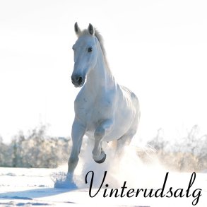 VINTERUDSALG 2026