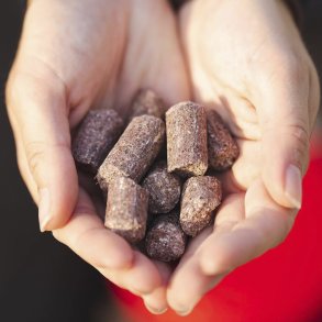 Vitaminer & Mineraler