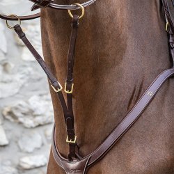 Dyon Kort Martingal Sort m. Slv