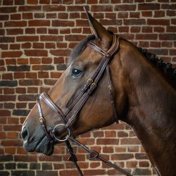 Dyon Anatomisk Flash Trense Brun/Messing