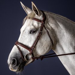 Dyon New English Trense Komb. Nsebnd Brun m. Slvspnder