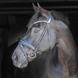 Equality Line Helix Trense Sort m. Gr krystalsten