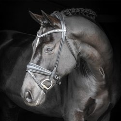 Equality Line Hamilton Rundsyet Trense Sort m. Gr krystalsten