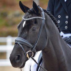 Equality Line Hamilton Rundsyet Trense Sort m. Gr krystalsten