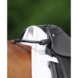 Passier Hndstrop Brun