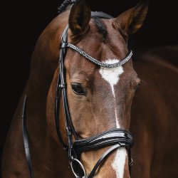 Schockemhle SP Isabell Werth Satchmo trense Sort/Lak/Slv