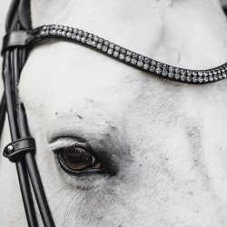 Schockemhle SP Isabell Werth Satchmo trense Sort/Slv