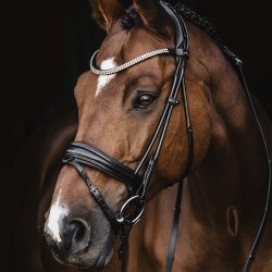 Schockemhle SP Isabell Werth Satchmo trense Sort/Slv