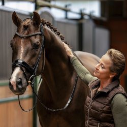 Schockemhle SP Isabell Werth Satchmo trense Sort/Lak/Slv