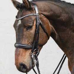 Schockemhle Milton Kandar Sort