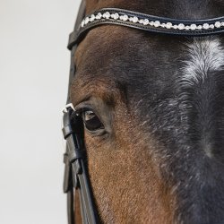 Schockemhle Milton Kandar Sort