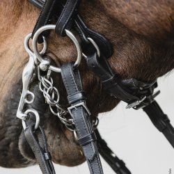 Schockemhle Milton Kandar Sort