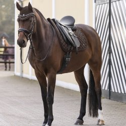 Waldhausen Nepal Underlag Brun