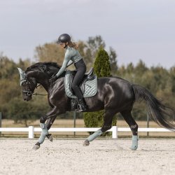 Waldhausen Nepal Underlag Silver Blue