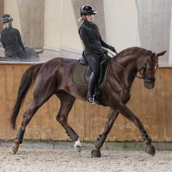 Waldhausen Philadelphia Underlag Green Brown