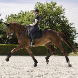 Waldhausen Rimini Underlag Sort