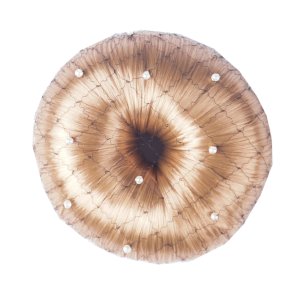 Horka Hrnet Pearl Sort