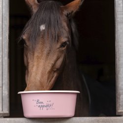 M&uuml;sli Spand med lg 5L - Linnea Pink