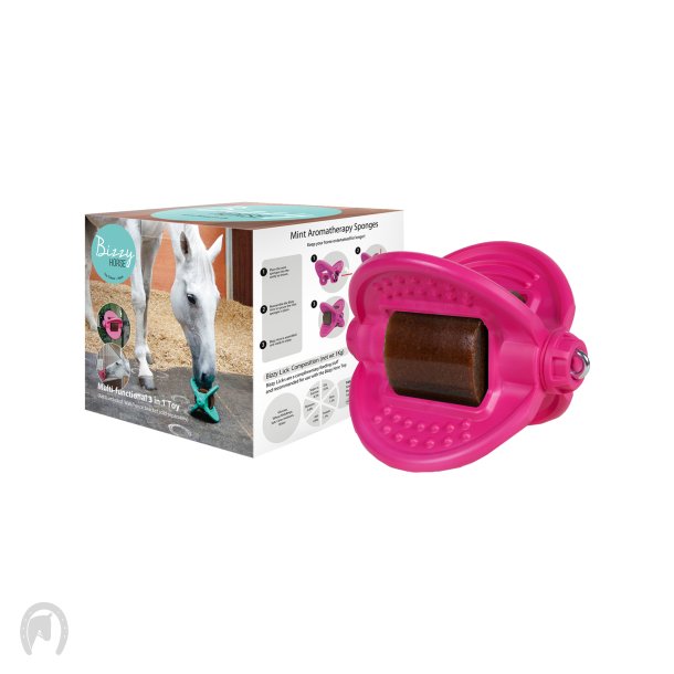 Bizzy Ball Pink