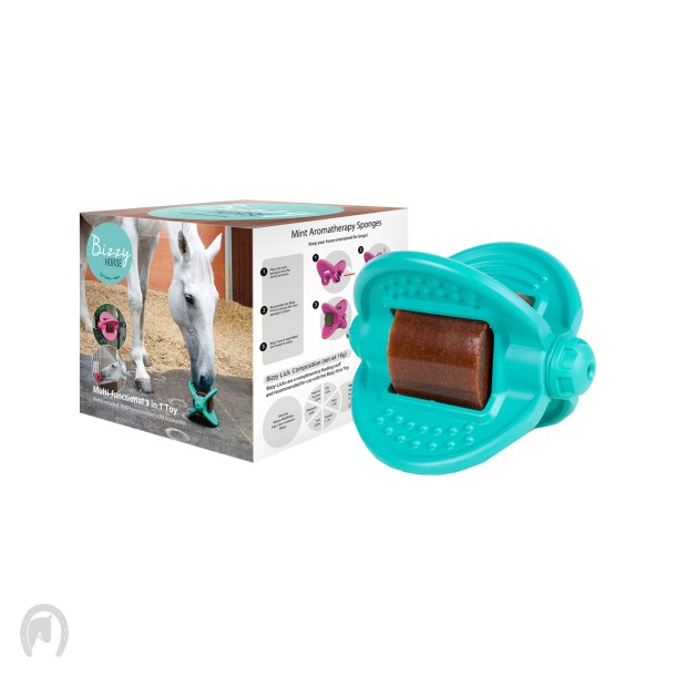 Bizzy Ball Aquamarine