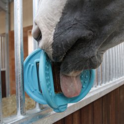 Bizzy Ball Aquamarine