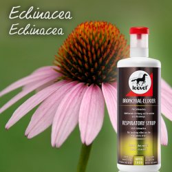 Leovet Bronchial Elixir (1000 ml)