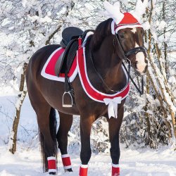 QHP Christmas Bringestykke R�d m. Sl�jfe