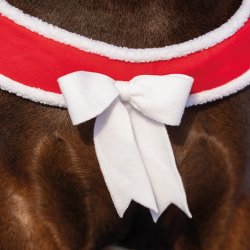 QHP Christmas Bringestykke R�d m. Sl�jfe
