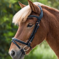 Waldhausen Rose Icelandic trense Black/Rosegold