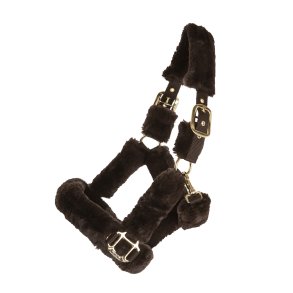 Kllquist Grime m. ples Brun