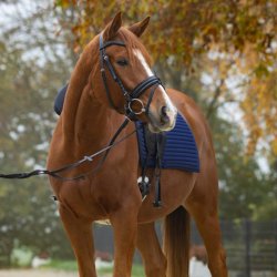 Covalliero Linea Underlag Navy