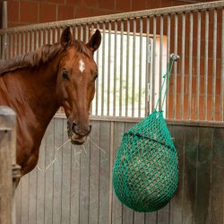 Kerbl Haynet m. Ring Grn - 90 cm.