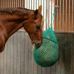 Kerbl Haynet m. Ring Grn - 90 cm.