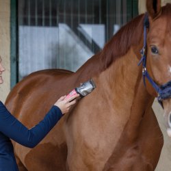 Aesculap Bonum Pro Tr�dl�s Klipper Pink (2 batterier)