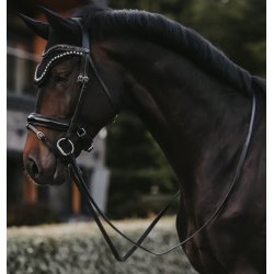 Kentucky Wellington Hut Fly Veil Big Stone & Pearl Sort