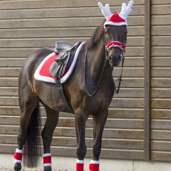 QHP Christmas Underlag R�d
