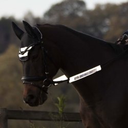 Waldhausen Refleks til Tjler