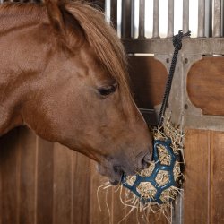 Waldhausen Hbold Petrol Blue