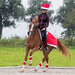 QHP Christmas Bandager R�d