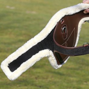 Kentucky Cover til Pladegjord Natur