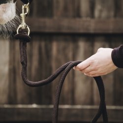 Kentucky Trktov Brun 2,8m Messing