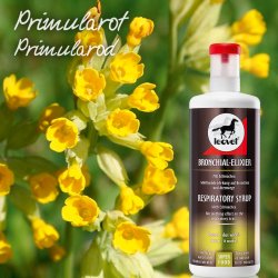 Leovet Bronchial Elixir (1000 ml)