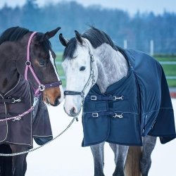 EQuest Ontario ll Vinterdkken 320g Navy