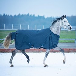 EQuest Ontario ll Vinterdkken 320g Navy